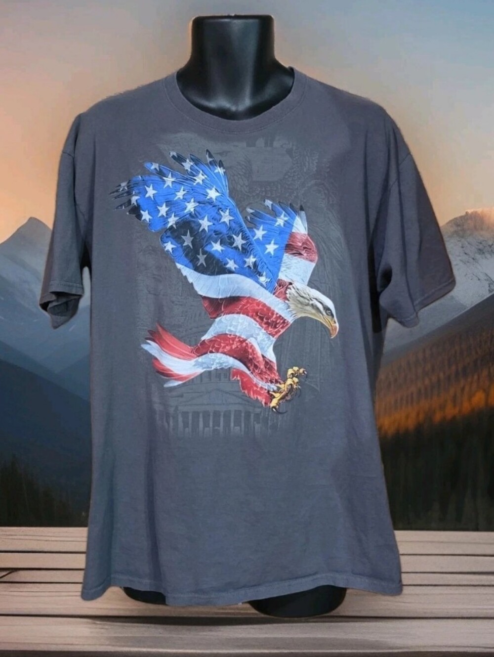 USA Eagle Flag Mens XL Graphic Gray Patriotic Freedom Capitol Rushmore Liberty